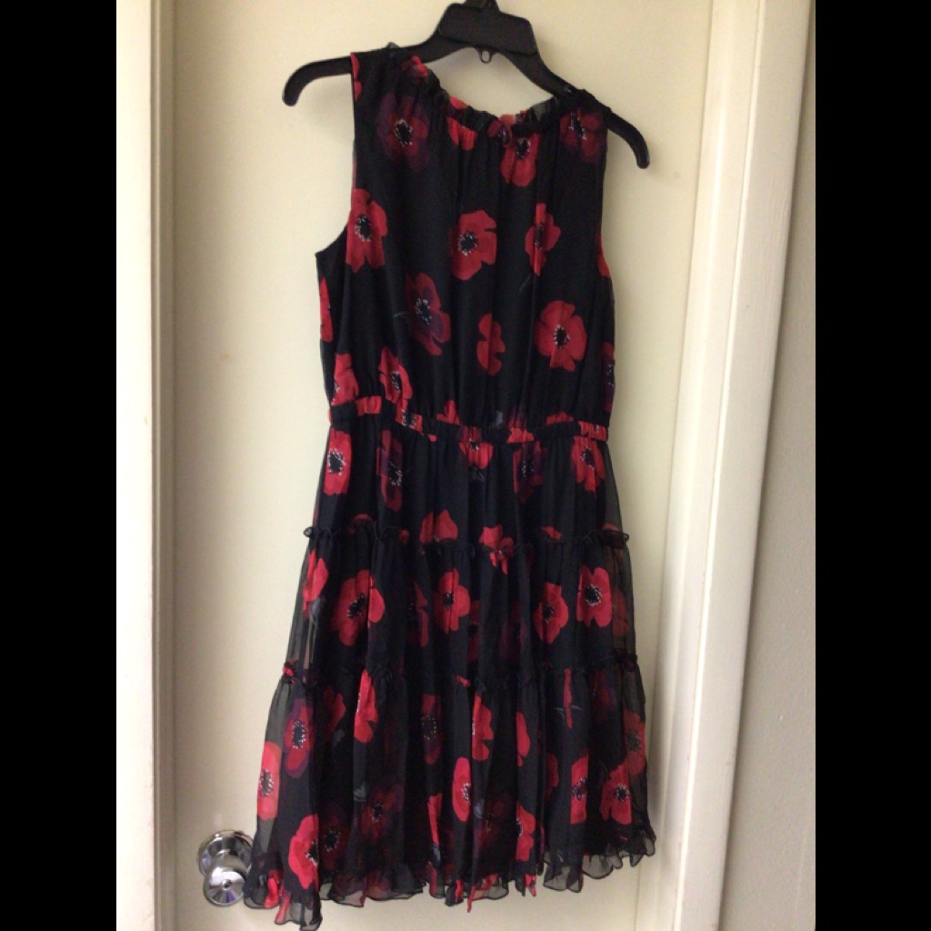 Kate Spade “Look For The Silver Lining “ Dress